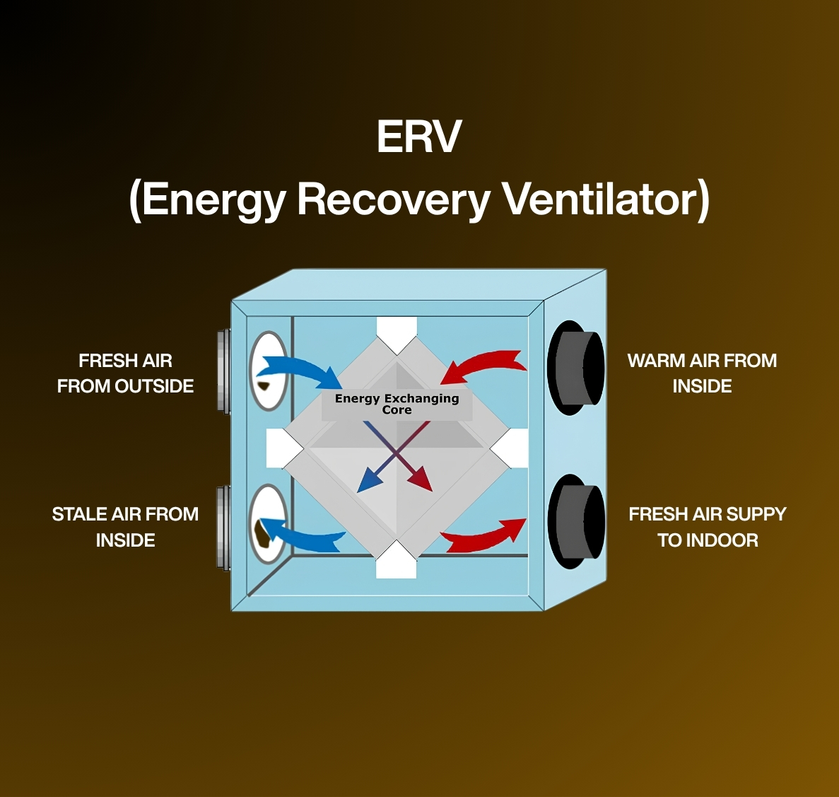 What Is an <span>ERV System?</span>